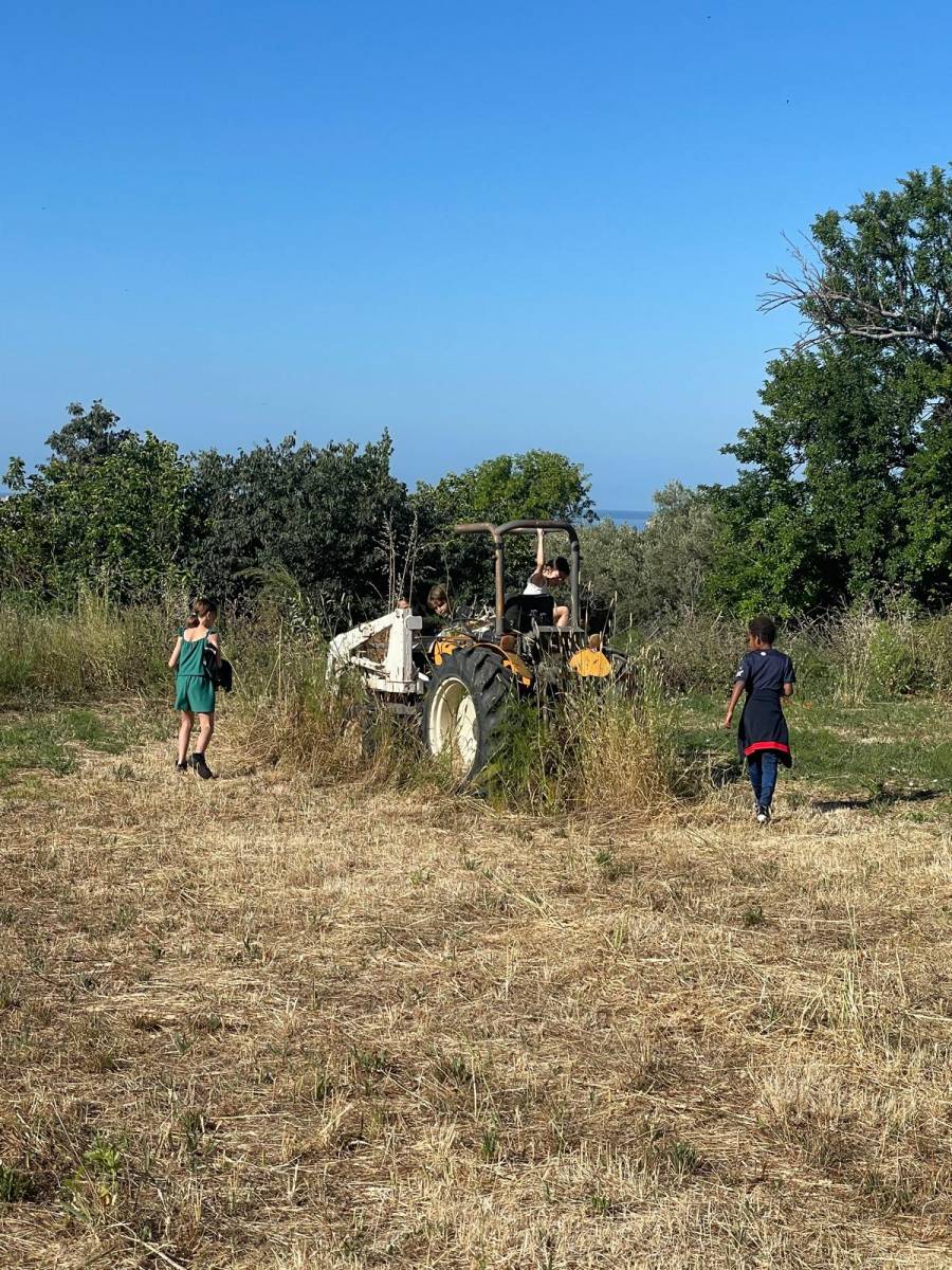 Stage d'anglais immersif en classe de CM1 / CM2 dans votre établissement scolaire à Marseille et alentours